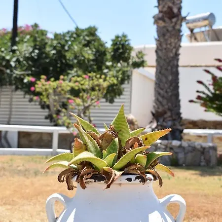 Aegeon 2* מילופוטאס