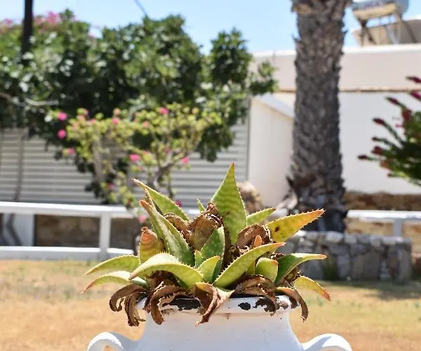 αιγαίον 2* Μυλοπότας